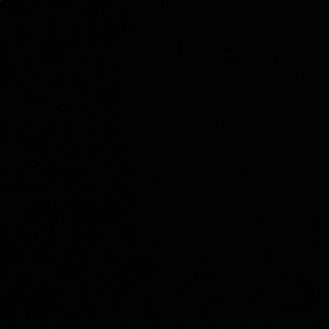 Meet your Posher, Alaina